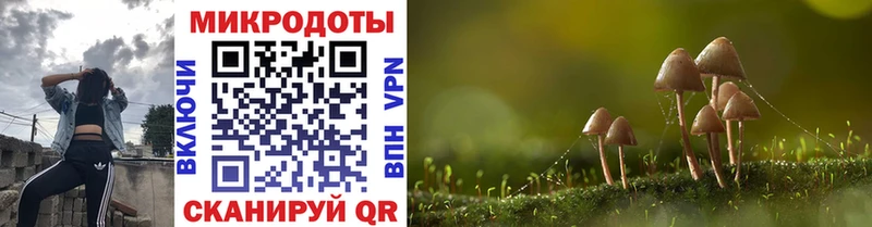 Псилоцибиновые грибы прущие грибы  Купить закладки  Дубна 